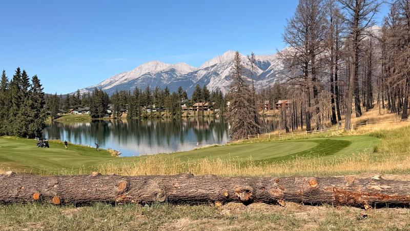 Shot near Lake Louise from Kelly