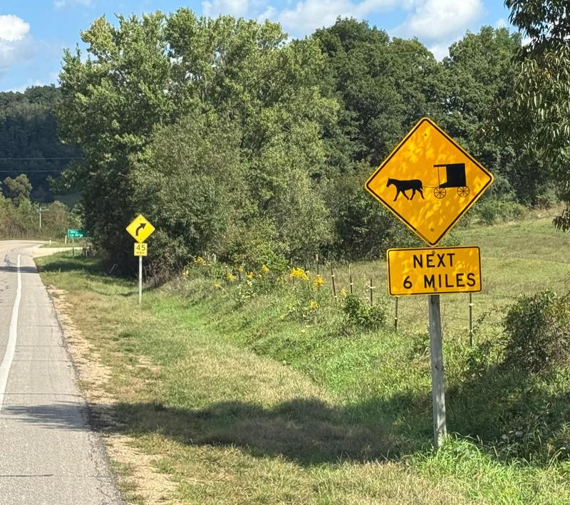Lots of Amish presence around us