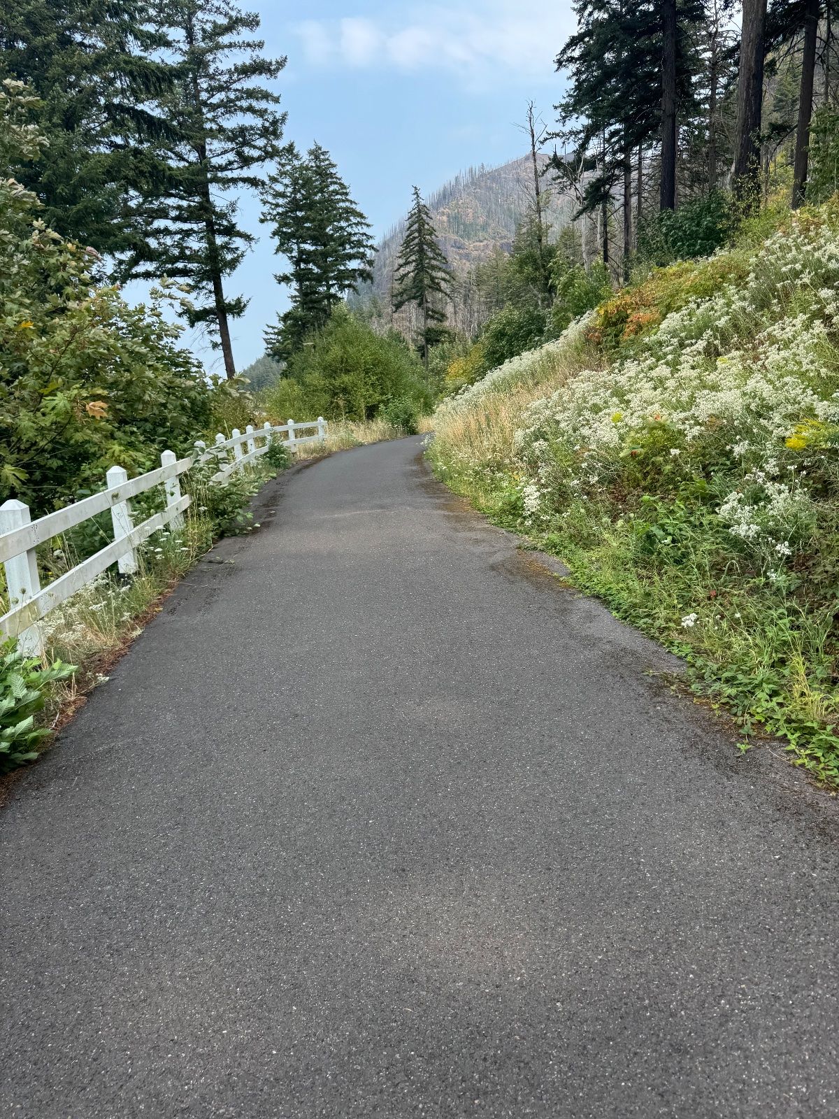 Day 3 photo