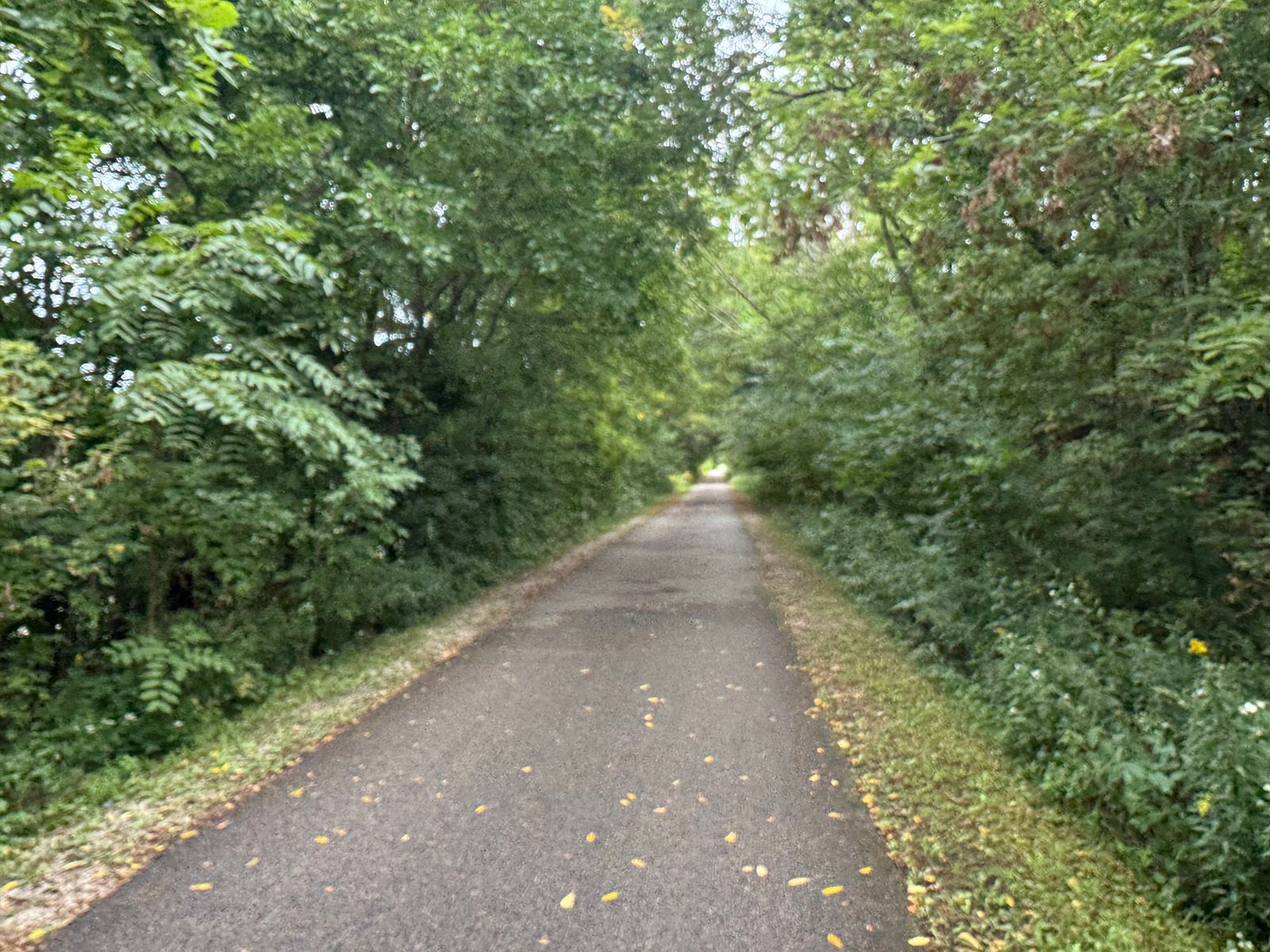 We had 20 miles of rail trail today, which was awesome!